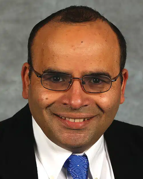 Dr. Mohamed El-Bermawy