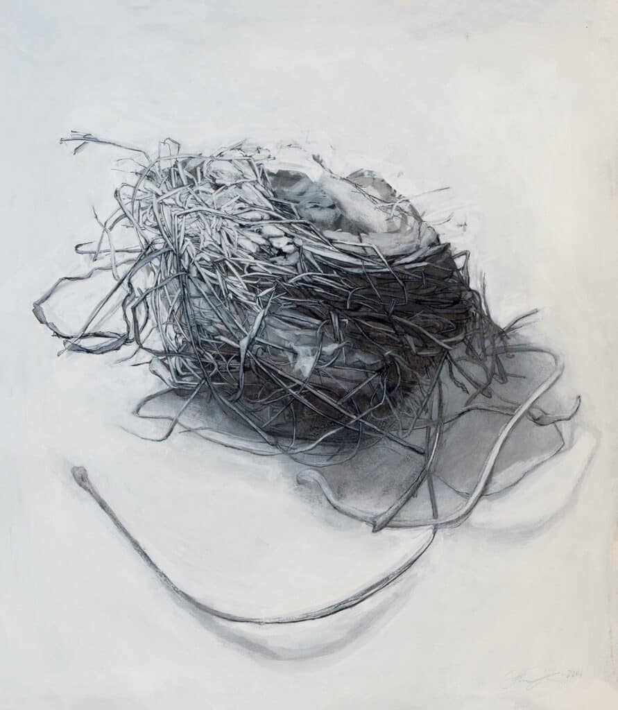 Eclipse: artwork by Jan Clough